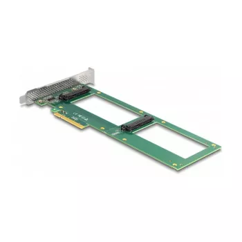 DeLOCK PCI Express 4.0 x8 -kortti 2 x sisäinen U.2 NVMe SFF-8639 Bifurcation