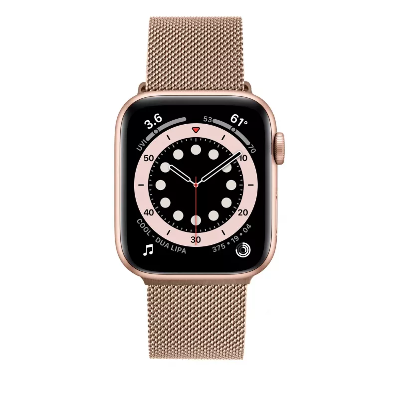 Mesh-ranneke FIXED FIXMEST-436-RG Apple Watch 38/40/41mm -kelloon ruusukulta