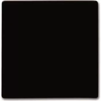 BUSCH JAEGER 2105-31 - ruskea - Busch-Jaeger - 70 mm - 70 mm - 1,3 cm - 1 kpl