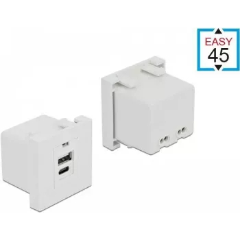 Pistorasia USB A + USB C DeLOCK 81313