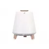 Kannettava kaiutin Blaupunkt BT25LAMP valkoinen