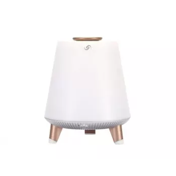 Kannettava kaiutin Blaupunkt BT25LAMP valkoinen