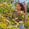 Gardena 12242-20 harmaa