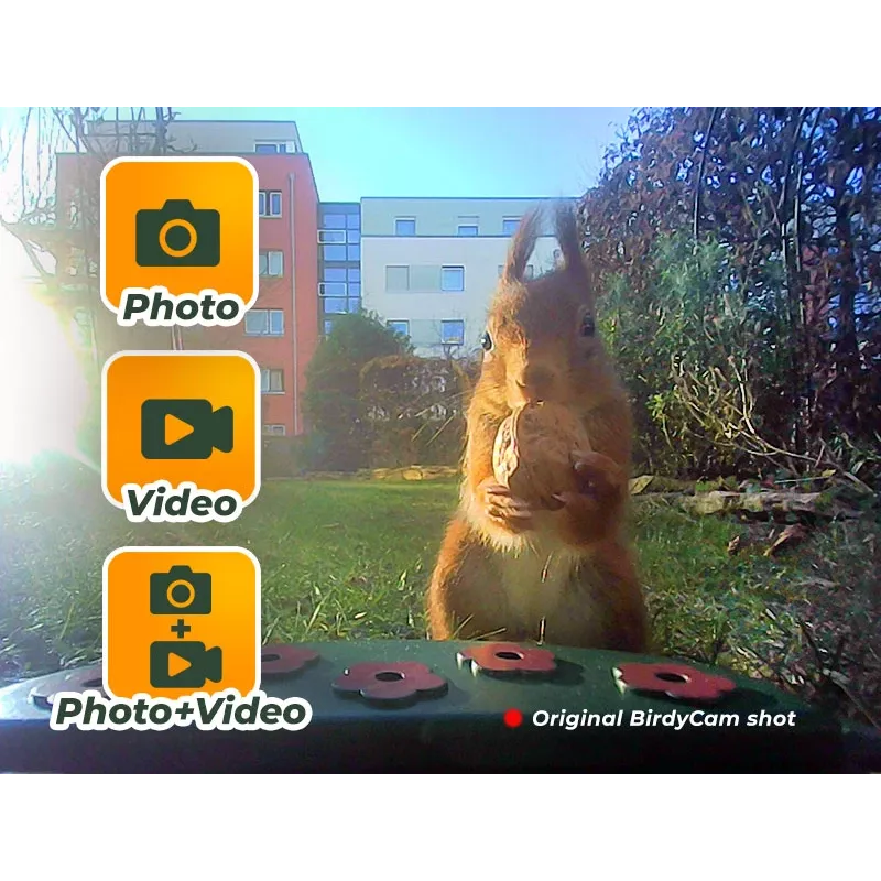 EASYPIX Bird Camera Easypix Bird Cam 10123 1080p HD yönäkö
