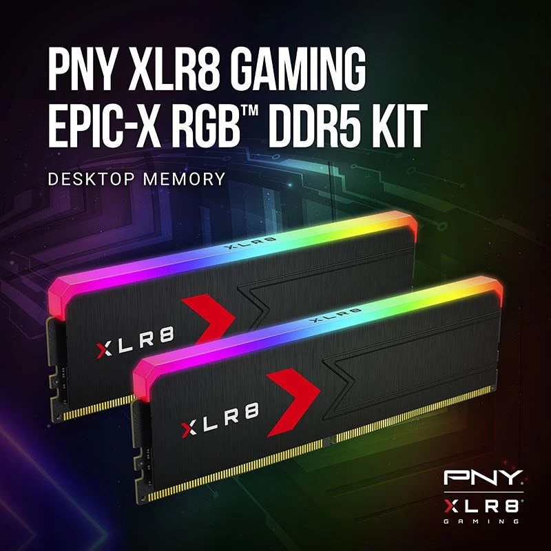 Muisti PNY DDR5 32GB 5600 BULK