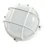 Synergy 21 LED-kellarivalaisin / ympärivalaisin IP65 5W kylmävalkoinen