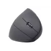 Gembird MUSW-ERGO-01 hiiri oikeakätisille RF langaton optinen 1600 DPI