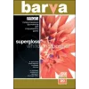 Valokuvapaperi Barva Profi Super Glossy 255 g/m² A3 20 arkkia
