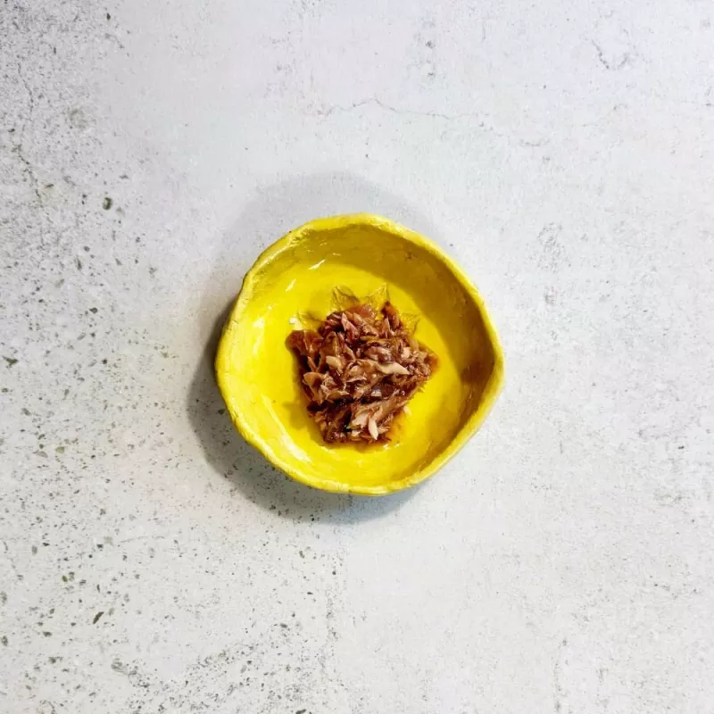 Ollo tonnikala hummeri liemessä nro 11 70 g