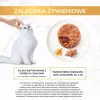 GOURMET GOLD - herkullinen patee kanalla ja porkkanalla 85g