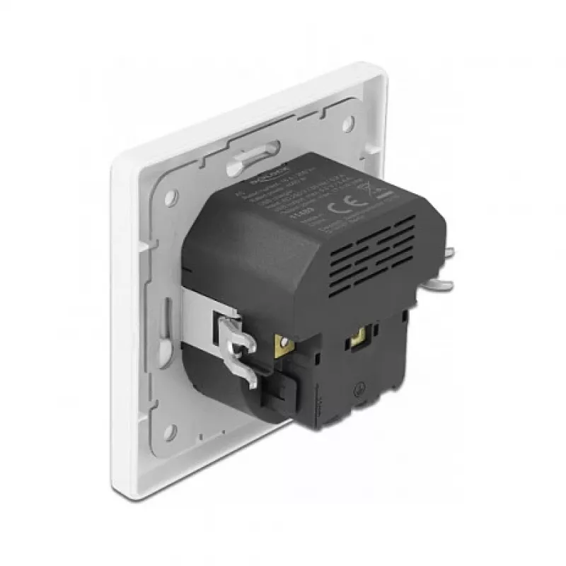 DeLOCK 11489 pistorasia CEE 7/3 + USB valkoinen 250V 16A