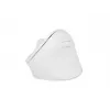 NATEC Crake 2 -hiiri, yleismalli, oikeakätisille, RF Wireless + Bluetooth, optinen, 2400 DPI