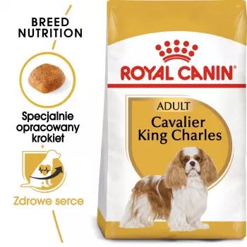 Kuivaruoka koirille Royal Canin Cavalier King Charles Adult 1,5 kg — kana, pieni rotu, iho & turkki, sydämen tuki