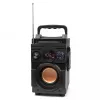 Squeak Bassblaster Bluetooth 5.1 -kaiutin, FM-radio, MP3-soitin SQ1001