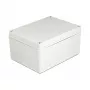 Kotelo DeLOCK asennuskotelo IP65 vedenpitävä 200 x 150 x 100 mm harmaa