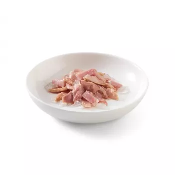 SCHESIR hyytelössä tonnikala kinkulla - märkäruoka kissoille - 85 g