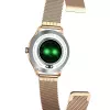 Älykello MaxCom FW42 GOLD kulta