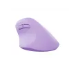 NATEC Crake 2 -hiiri yleismalli oikeakätisille RF Wireless + Bluetooth optinen 2400 DPI