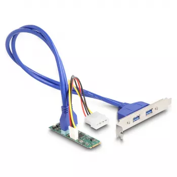 DeLOCK liitäntäkortit/-sovittimet 61065 sisäinen USB 3.2 Gen 1 M.2 pistoke