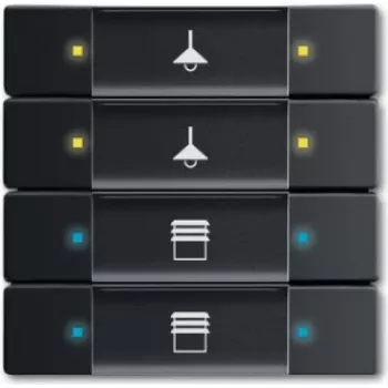 Busch Jaeger kosketusanturi 4/8-kertainen monitoiminto 6127/02-885 (6117-0-0220)