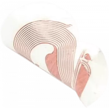 NFC-tarra SCOT NTAG213 18 mm valkoinen, RFID-tarra, 10 kpl:n pakkaus