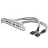 Korttipaikkakaapeli USB 2.0 HighSpeed tyyppi 2xIDC (5pin)/4xUSB A M/F harmaa 0,25 m
