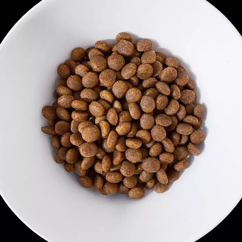 VET RESPONSE Hypoallergenic - kuivamuona koirille - 1,6 kg