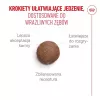 ROYAL CANIN Ageing 15+ kuivaruoka kissoille – 4 kg