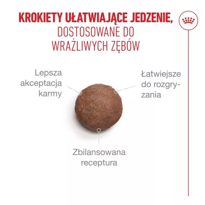 ROYAL CANIN Ageing 15+ kuivaruoka kissoille – 4 kg
