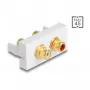 DeLOCK Easy 45 pistorasia 2 x RCA valkoinen ABS