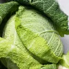 PNOS savoijinkaali Langedijska vihannessiemenet, 2 g