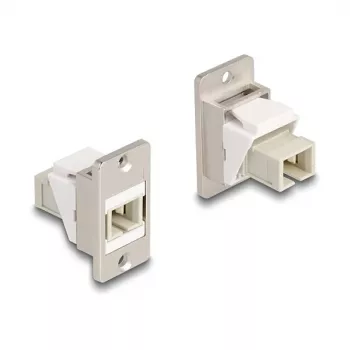 DeLOCK paneeliasennettava Keystone-moduuli kuitu SC Simplex pistorasia–pistorasia kartio beige