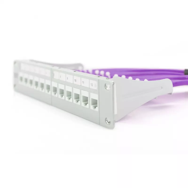 Verkkokaapeli Digitus Cat.6 U/UTP 305 m violetti
