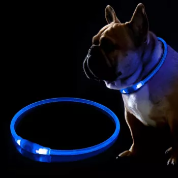 LED-panta KABB sininen koirille ja kissoille – ladattava, säädettävä turvapanta valaistuksella