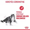 Royal Canin Urinary Care kuivaruoka kissoille 4 kg