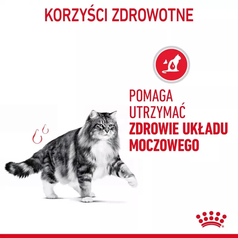 Royal Canin Urinary Care kuivaruoka kissoille 4 kg