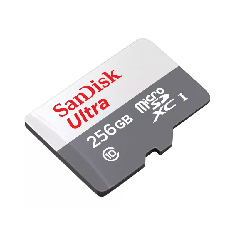Flash-muisti SanDisk 256 GB MicroSDXC UHS-I SDSQUNR-256G-GN6TA