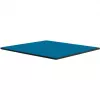 Thermal Grizzly Minus Pad Advance - 100 x 100 x 1,0 mm, 2 kpl