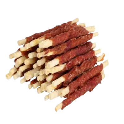 Lemmikkien hampaidenhoito