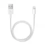 APPLE Lightning-USB-kaapeli (0,5 m)