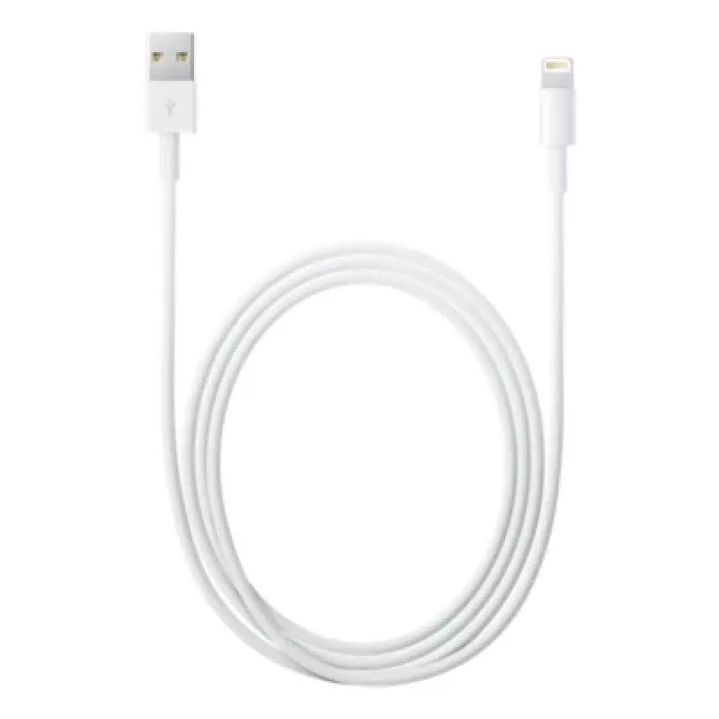 Apple Lightning - USB-kaapeli 2 m MD819ZM/A