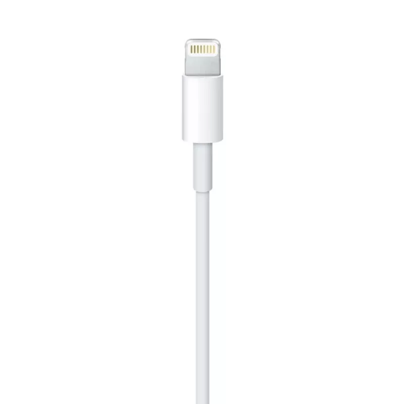 Apple Lightning - USB-kaapeli 2 m MD819ZM/A