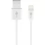 Lataus- ja synkronointikaapeli GOOBAY Lightning - USB A 1 m, 5W / 1A, valkoinen