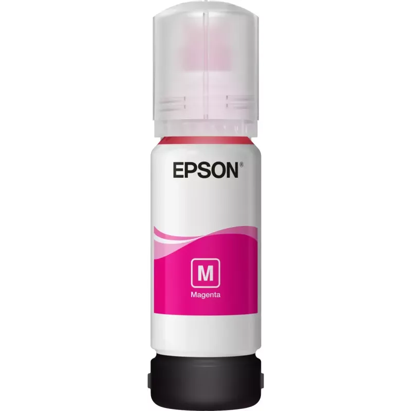 Epson mustekasetti C13T03R340 102 magenta