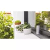 Netatmo NWS01-EC digitaalinen sääasema alumiini paristo/USB Wi-Fi