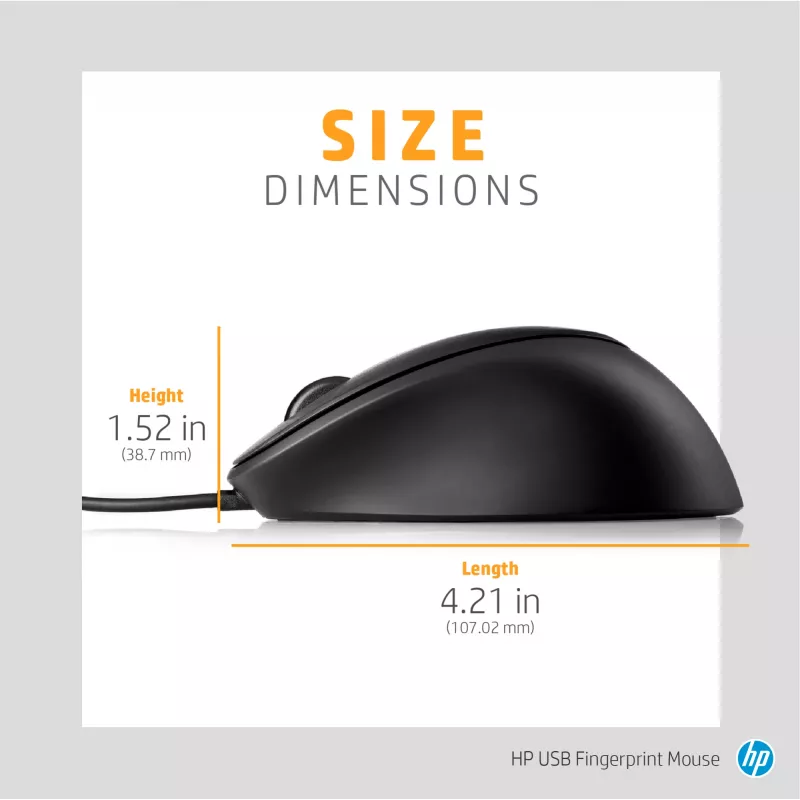 HP USB-sormenjälkihiiri, molempikätinen, USB Type-A, musta
