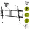 Wentronic Pro TILT (XL) 2,54 m (100