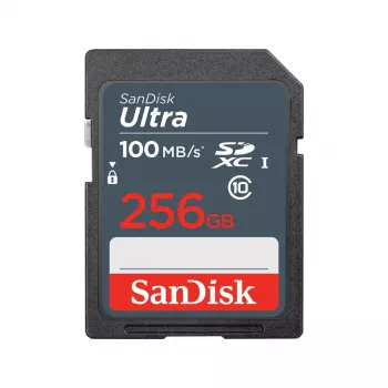 Flash-muisti SanDisk 256 GB SDXC UHS-I Class 10 SDSDUNR-256G-GN3IN