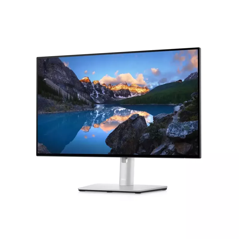 Näyttö DELL UltraSharp 24 U2422H 23,8
