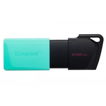 Kingston Technology DataTraveler 256GB USB3.2 Gen1 Exodia M (musta + turkoosi)